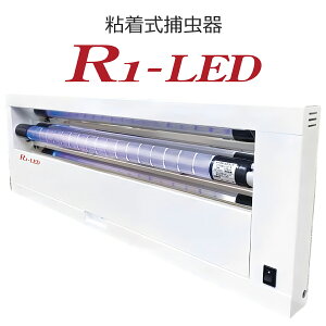 yӂ邳Ɣ[ŁzS ߒ R1-LED (ւ̕ߒ12t) [0753]