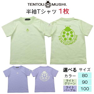 yӂ邳Ɣ[Łzqǂp TVc TENTOUMUSHI ĂƂPTbq  TVc  Y { Ԃ xr[ j [0795-0801]