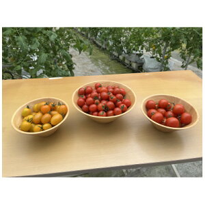 yӂ邳Ɣ[ŁzV~jg}g4Zbg(m؉)y1483671z