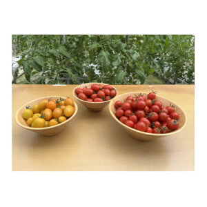 yӂ邳Ɣ[ŁzV~jg}gÂ~bNXZbgy1483676z