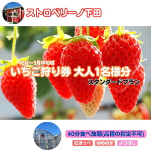 yӂ邳Ɣ[ŁzXgx[mc茔1liX^_[hvj ̌`Pbg `Pbg