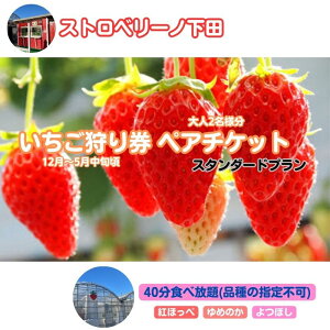 yӂ邳Ɣ[ŁzXgx[mc茔2liX^_[hvj ̌`Pbg `Pbg