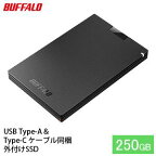 BUFFALO バッファロー ポータブル SSD 250GB TypeA & TypeC USB 電化製品 家電 パソコン PC周辺機器 パソコン周辺機器　【 日進市 】