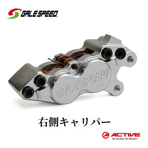 yӂ邳Ɣ[ŁzGALE SPEED rbgEtg4PLp[(ALV40mm) E Vo[A}Cg @͂FmFA͂܂3ȏォ܂B