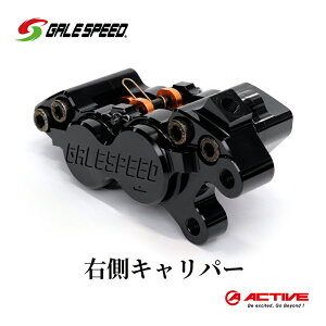 yӂ邳Ɣ[ŁzGALE SPEED rbgEtg4PLp[(ALV40mm) E ubNA}Cg @͂FmFA͂܂3ȏォ܂B