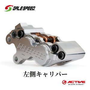 yӂ邳Ɣ[ŁzGALESPEED rbgEtg4PLp[(ALV40mm)  Vo[A}Cg @͂FmFA͂܂3ȏォ܂B