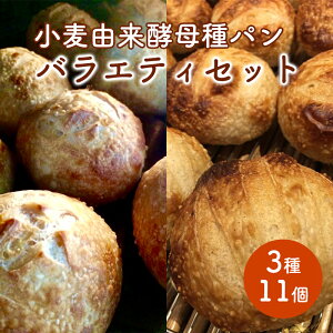 yӂ邳Ɣ[ŁzRypoGeBZbg 311