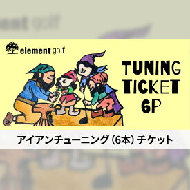【ふるさと納税】elementgolf アイアン チューニング チケット (6本) エレメントゴルフ × 名古屋外国語大学コラボデザインチケット ゴルフ アイアン ゴルフクラブ 調整 愛知 日進市