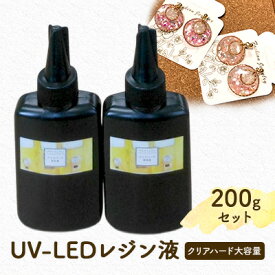 【ふるさと納税】レジン液 100g × 2本 セット 大容量 レジン UVレジン UVレジン液 LEDレジン UV LED クリア ハードタイプ 低粘度 シリコンモールド 手芸 クラフト 手作り 愛知 愛知県 日進市