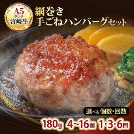 【ふるさと納税】ハンバーグ A5ランク 宮崎牛 選べる セット マ・メゾン 国産 冷凍ハンバーグ 工場直売 惣菜 食品