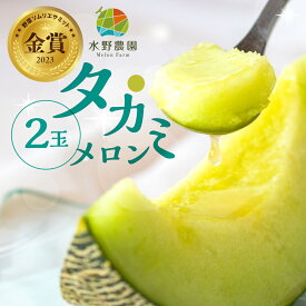 【ふるさと納税】 先行予約 2026年お届け 水野農園産タカミメロン　2玉 メロン めろん 先行受付 フルーツ 果物 お中元 お取り寄せ ギフト 渥美半島 田原市 産地直送 送料無料 農家直送 緑肉 産直 ネット系メロン くだもの デザート メロン 糖度 メロン 青肉メロン 9000円