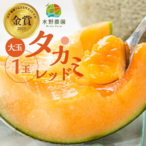 yӂ邳Ɣ[Łz s\ 2026N͂ _Y^J~bh@1  ߂ st t[c ʕ   Mtg  cs Yn  _ƒ Y