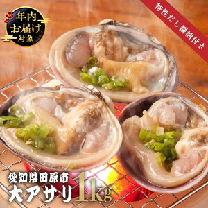 yӂ邳Ɣ[ŁzsNɂ͂tO͘pY VR AT 1kg CASⓀ ݖt  Y AT m cs 傠  CN   L Ⓚ lC