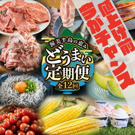 【ふるさと納税】《5月末金額改定》渥美半島の恵み どうまい 定期便 全12回 ( しらす / ブランド豚 / 餃子 / ジェラート / 豚肉 / メロン / うなぎ / とうもろこし / 焼き鳥 / トマト / 牛肉 / 蒲焼 ) 12ヶ月 1年 鰻 ウナギ 蒲焼 高評価 お楽しみ 海の幸 人気 愛知県 12万円