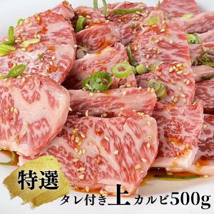 yӂ邳Ɣ[Łzyuhzc ^t I Jr 500g  m  Y n O  ē Y ~ ӂ邳Ɣ[ Jr  Ⓚ ґ aH j 