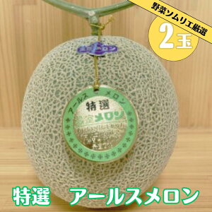 yӂ邳Ɣ[Łzs\ ̉w̖؃\GI A[X 2L× 2 l  t[c ʕ   Yn cs @߂͂  x 