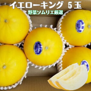 yӂ邳Ɣ[Łzs\ ̉w̖؃\GI CG[LO 5 l ߂͂  t[c ʕ   Yn cs  ߂͂