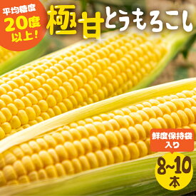 【ふるさと納税】《2025年秋お届け！》高評価 平均糖度20以上 極甘とうもろこし 8~10本 以上 鮮度保持袋入り 発送時期が選べる 朝採り 人気 甘い 訳あり ワケアリ 本 簡単調理 まるで フルーツ 送料無料 高レビュー 数量限定 2025年 先行予約 楽天限定