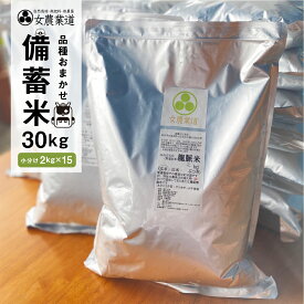 【ふるさと納税】 訳あり 備蓄米 30kg 3年保存パック うるち米 令和4年産 品種 おまかせ 備蓄 真空パック 常温 長期保存 米 白米 30kg 保存 常備 送料無料 100000円 10万円