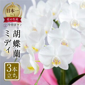 yӂ邳Ɣ[ŁzӒ ~fB m F 3{ (25ց`30) 픫񂹐A Mtg   v[g m    j JXj ̓ JX Vzj LO 蕨 
