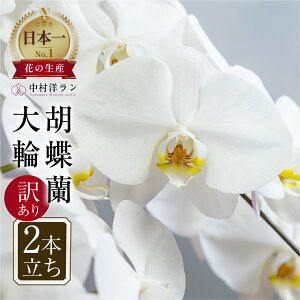 yӂ邳Ɣ[ŁzӒ  F 2{ 󂠂 (15ֈȏ) m 픫񂹐A Mtg   v[g m   j 蕨 cs y͂uhz