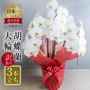 yӂ邳Ɣ[ŁzӒ  F 3{ 󂠂 (25ֈȏ) m 픫񂹐A Mtg   v[g m   j 蕨 cs y͂uhz