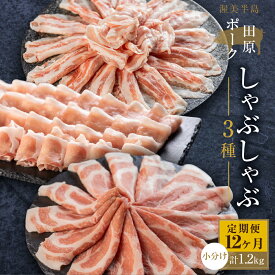 【ふるさと納税】発送時期が選べる 国産 豚肉 食べ比べ 400g × 3 計 1.2kg 小分け 100g しゃぶしゃぶ用 ロース 肩ロース バラ　 冷凍 田原ポーク 個包装 スライス 薄切り 豚しゃぶ ギフト 定期便 Gファーム 12000円 36000円 72000円 144000円