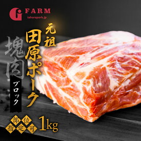 【ふるさと納税】《部位選べる》国産 豚肉 ブロック 1kg ロース バラ 肩ロース 田原ポーク 発送時期が選べる 塊肉 チャーシュー 贈り物 ギフト お取り寄せ お取り寄せグルメ 食品 送料無料 産地直送 冷凍 Gファーム 10,000円 1万円