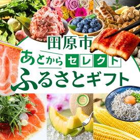 【ふるさと納税】＼約500品／ あとから選べる オンラインカタログ あとからセレクト 地鶏 名古屋コーチン 牛肉 肉 国産牛 豚肉 いちご メロン みかん しらす うなぎ 鰻 蒲焼 米 野菜 とうもろこし 訳あり 鮭 サーモン フルーツ カタログ 定期便 1万円 3万円 5万円 10000円