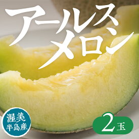 【ふるさと納税】【先行予約】アールスメロン 2玉 入りメロン アールスメロン フルーツ 果物 愛知県 田原市 渥美半島 お取り寄せ ギフト 贈り物 プレゼント 贈答 贈答用 メロン 糖度 メロン 青肉 ド甘い 暑さ 対策 暑さ対策