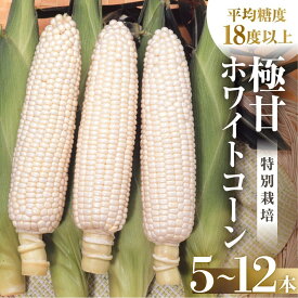 【ふるさと納税】【先行予約】2026年 渥美半島産　青木さんちのとうもろこし　ホワイトコーン 10本〜12本 約4kg とうもろこし デザート 農家直送 送料無料 朝採れ コーン 野菜 キャンプ BBQ バーベキュー おやつ 田原市 渥美半島 愛知県 夏 旬