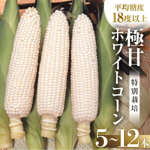 yӂ邳Ɣ[Łzys\z2026N Y@؂񂿂̂Ƃ낱@zCgR[ 10{`12{ 4kg Ƃ낱 fU[g _ƒ  ̂ R[  Lv BBQ o