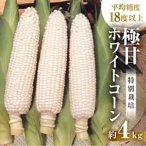 yӂ邳Ɣ[Łzys\z2026N Y@؂񂿂̂Ƃ낱@zCgR[ 10{`12{ 4kg Ƃ낱 fU[g _ƒ  ̂ R[  Lv BBQ o