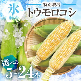 【ふるさと納税】【先行予約】2026年 氷締め 寺田さんち とうもろこし バイカラー 選べる本数 5本〜24本 約4kg 渥美半島産 野菜 朝採れ デザート 農家直送 送料無料 朝採れ コーン 野菜 キャンプ BBQ バーベキュー おやつ 田原市 渥美半島 愛知県 夏 旬