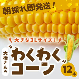 yӂ邳Ɣ[Łzys\ẑꑦI勴_̃gERV 킭킭R[ 12{ 傫 Ƃ낱 gERV R[ VN ̂  _ƒ   c