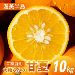 yӂ邳Ɣ[Łz勴_ ƒp É 10kg É ܂Ȃ k k t[c ʕ { 󂠂 PA A m cs 
