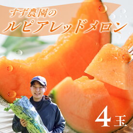 【ふるさと納税】【先行予約】すず農園 ルピアレッドメロン（1.2キロ以上×4玉） ルピアメロン メロン ハウスメロン デザート フルーツ 果物 旬 お盆 愛知県 田原市 渥美半島