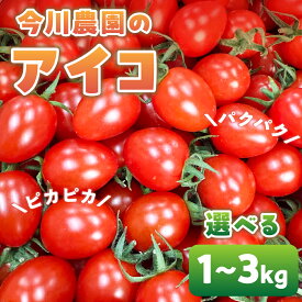 【ふるさと納税】【先行予約】今川農園のミニトマト アイコ 選べる1～3kg 先行予約受付 期間限定 季節限定 野菜 国産 完熟 やさい フルーツ トマト 完熟 千果 ミニトマト イエロー プチトマト イエロートマト プチ お弁当 贈り物 おやつ サラダ 送料無料 産地直送