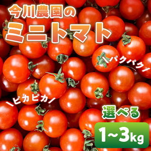 yӂ邳Ɣ[Łzys\z_̃~jg}g Iׂ1`3kg s\t Ԍ Gߌ  Y n ₳ t[c g}g n  ~jg}g v` ٓ 蕨  