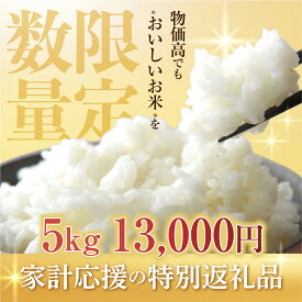 【ふるさと納税】数量限定 13000円 こしひかり 5kg 10kg 定期便 選べる お米 おこめ 米 コメ ごはん コシヒカリ ご飯 ブランド米 精米 令和7年 定期 6か月 令和6年産 売り切れ 備蓄米 よりおいしい 愛知県 田原市 渥美半島 人気 どうまい 先行予約 令和7年産 13000円