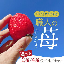 【ふるさと納税】【先行予約】安心安全！職人が作るおまかせ苺 選べる 2種 / 4種 食べ比べセット いちご 苺 おまかせ のため 訳あり 食べ比べ セット 安心 安全 国産 愛知県 田原市 渥美半島