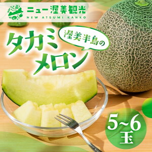 yӂ邳Ɣ[Łzys\z^J~ 5 ` 6 i v 4kg ȏ j ^J~ t[c ʕ m cs   XC[c Mtg 蕨 v[g  