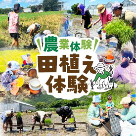 【ふるさと納税】【農業体験】田植え体験 米作り 手作業 無農薬 体験 お米 米 親子 イベント 自然 自然体験