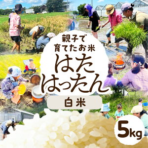 yӂ邳Ɣ[Łz Iׂ 2kg 5kg     R   ͂͂
