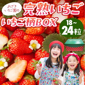 【ふるさと納税】完熟いちご 18粒～24粒 いちご柄BOX いちご イチゴ 苺 章姫 大粒 ストロベリー ベリー ジャム いちごジャム イチゴジャム いちご狩り いちご園 おざきいちご園 渥美半島 愛知県 田原市