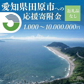 【ふるさと納税】《返礼品なし》愛知県田原市への寄付 応援寄附金 応援 選べる 金額 使い道 愛知県 田原市 渥美半島