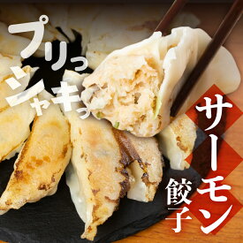 【ふるさと納税】【先行予約】あつみのサーモン餃子 2袋 ご当地 送料無料 ラスサーモン サーモン 餃子 渥美半島 田原市 愛知県 渥美フーズ おかず 惣菜 おつまみ 国産 小分け