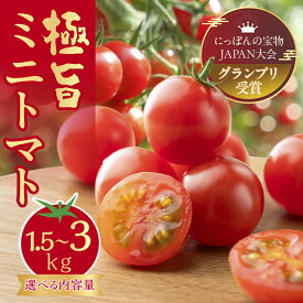 【ふるさと納税】グランプリ受賞 極旨 ミニトマト 1.5kg だしの出るトマト 新鮮 完熟トマト 出汁推し実 フルーツトマト 季節限定 健康 トマト 濃厚 とまと 薄皮 入手困難 幻 プチ 先行予約 産地直送 冷蔵 送料無料
