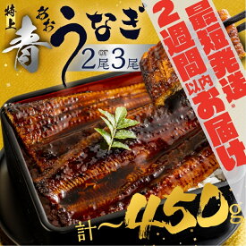 【ふるさと納税】幻の青うなぎ 蒲焼 父の日 丑の日 2週間以内発送 発送時期が選べる 2尾 3尾 300g ~ 450g 厳選 青鰻 鰻 蒲焼き 最高級 長蒲焼 特大サイズ 土用丑の日 先行予約 うなぎ ひつまぶし 冷凍 丑の日 惣菜 unagi ランキング 1位 送料無料 10000円 15000円 1万円