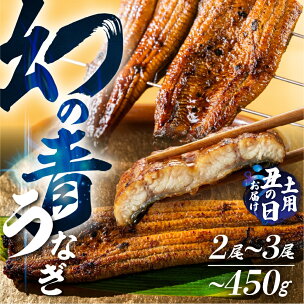 《土用の丑の日 受付中》幻の青 うなぎ 2尾 3尾 ランキ...